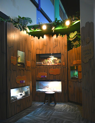 "Critter Corner" has a number of tanks, which are home to a variety of reptiles such as snakes and lizards. The tanks are mounted inside of a wall, decorated to look like it's made from wood. There are name tags that are located around each tank, which give the name of the animal in each tank.