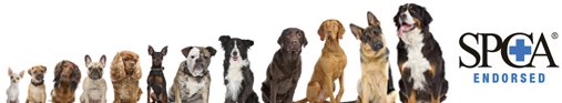  SPCA endorsed/approved dog training course