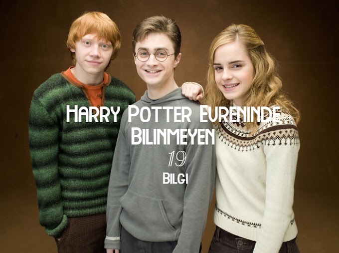Harry Potter Evreninde Bilinmeyenler