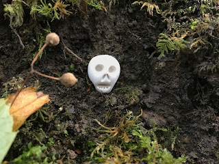 A photo of a small, ceramic skull (Skulferatu 90) sitting on the earth of a trench in Dreghorn Woods.  Photograph by Kevin Nosferatu for the Skulferatu Project.