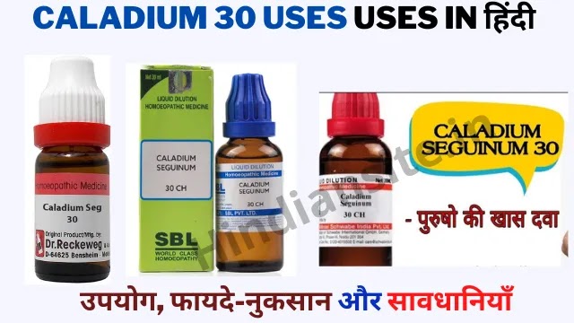 Caladium 30 Uses in Hindi