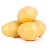 Olheiras