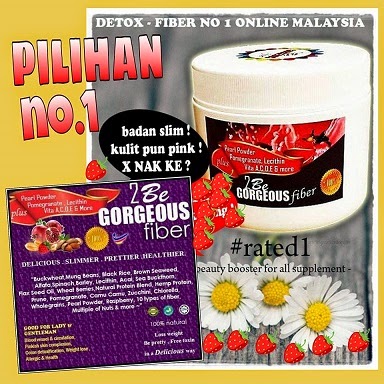 Image result for 2be gojes fiber