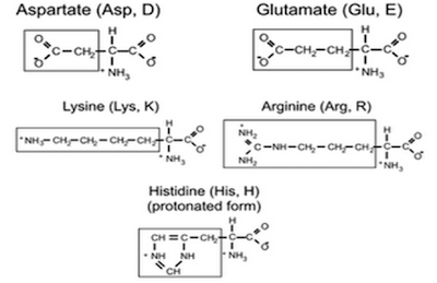 chemistry- pasca sarjana: rumus rumus asam amino
