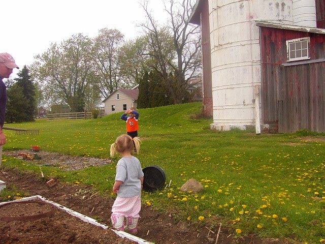 Garden helpers...