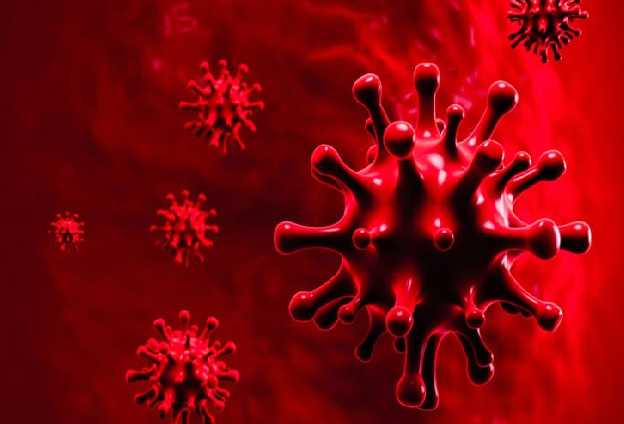 कोरोना संक्रमण के 41 नए मामले दर्ज, कोई मौत नहीं  