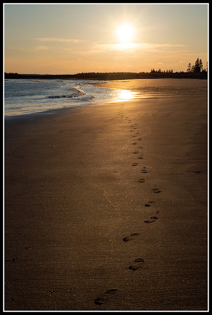 Cherry Hill Beach; Nova Scotia; Footprints; Maritimes