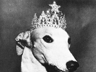 Steverino: The First Lady Greyhound Bus Mascot