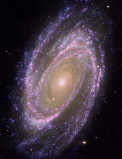 galaksi-spiral-grand-design-messier-81-informasi-astronomi