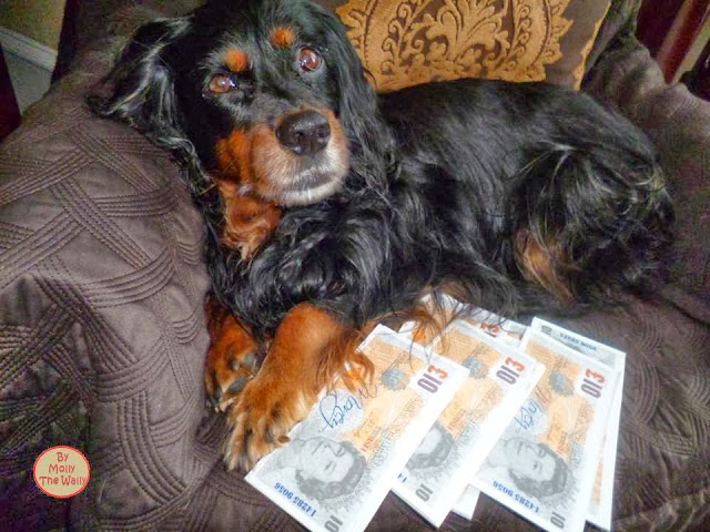 Molly The Wally Has Loads Of Money!