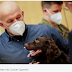  Scientists have trained sniffer dogs to detect coronavirus with 94% accuracy