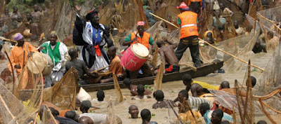 Argungu Fishing Festival