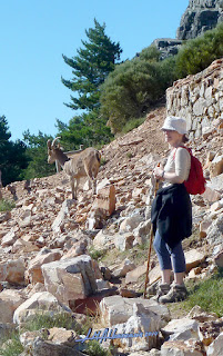 El Casarito – Peña de Francia