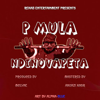 [feature]P Mula - Ndinovapeta