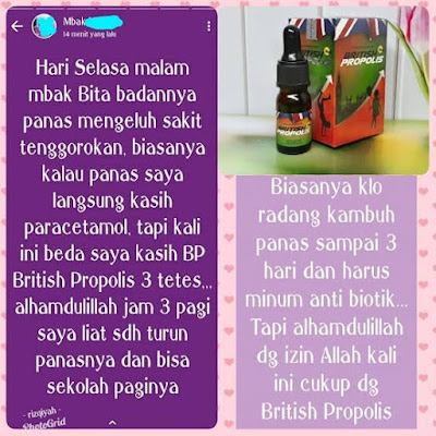 keunggulan british propolis