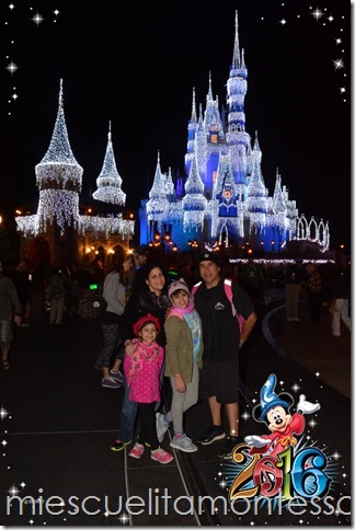 wdw2016334611994710_7876609699_dsnyRes-base_dsnyLoc-reg-1