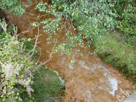 Carnon River, Cornwall