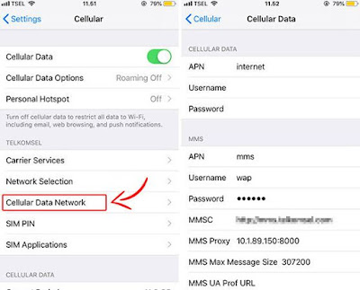 Cara Setting APN 3 di iPhone