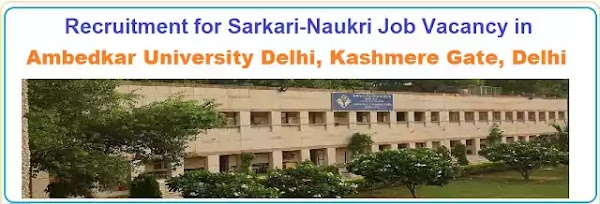 Dr. B.R. Ambedkar University Delhi Faculty Vacancy Recruitment 2022