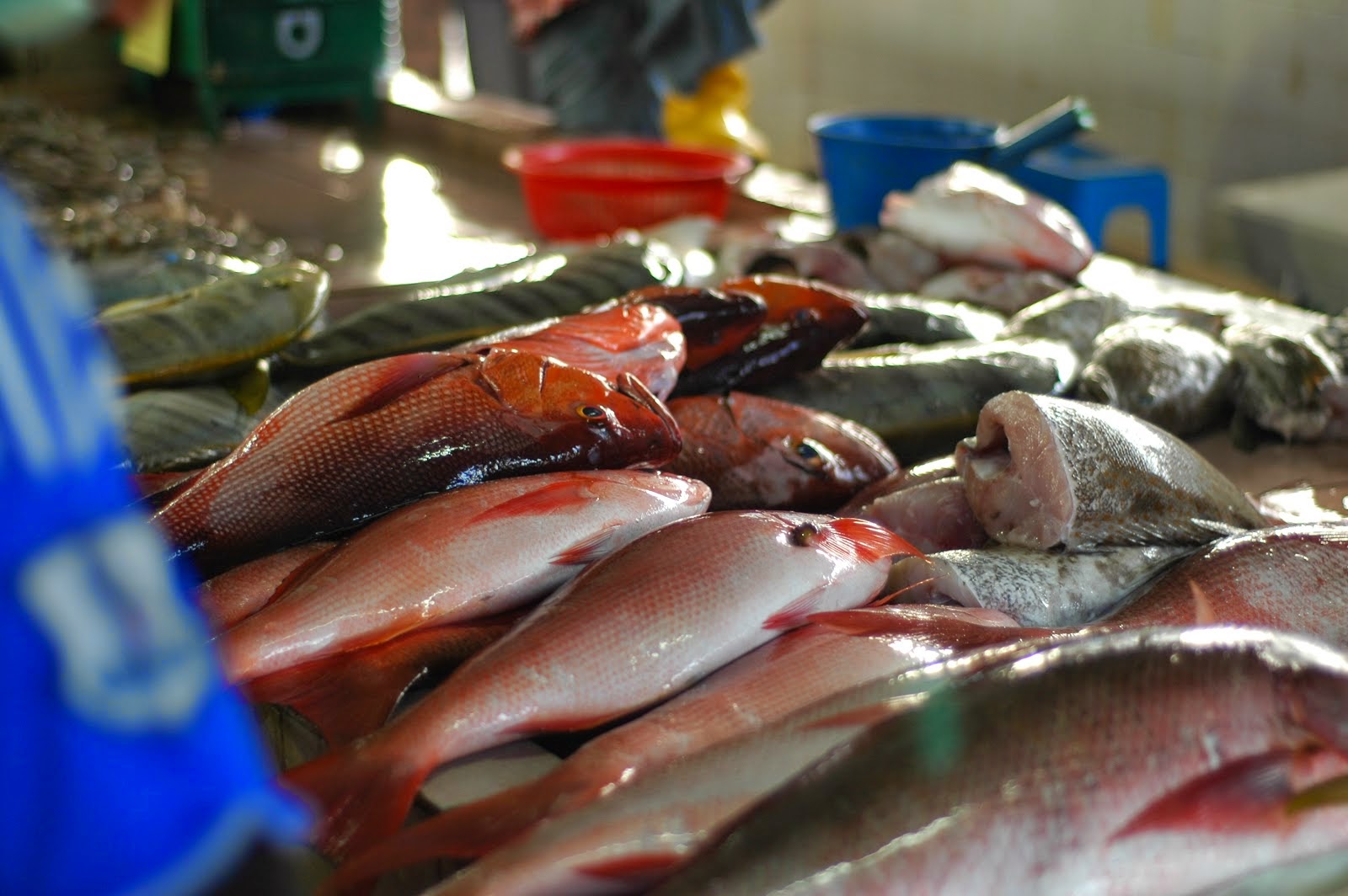 Harga Ikan Naik Hingga RM4 Sekilo Buletin Semasa Sabah