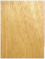 kayu karet