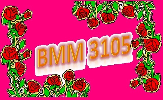 BMM3105
