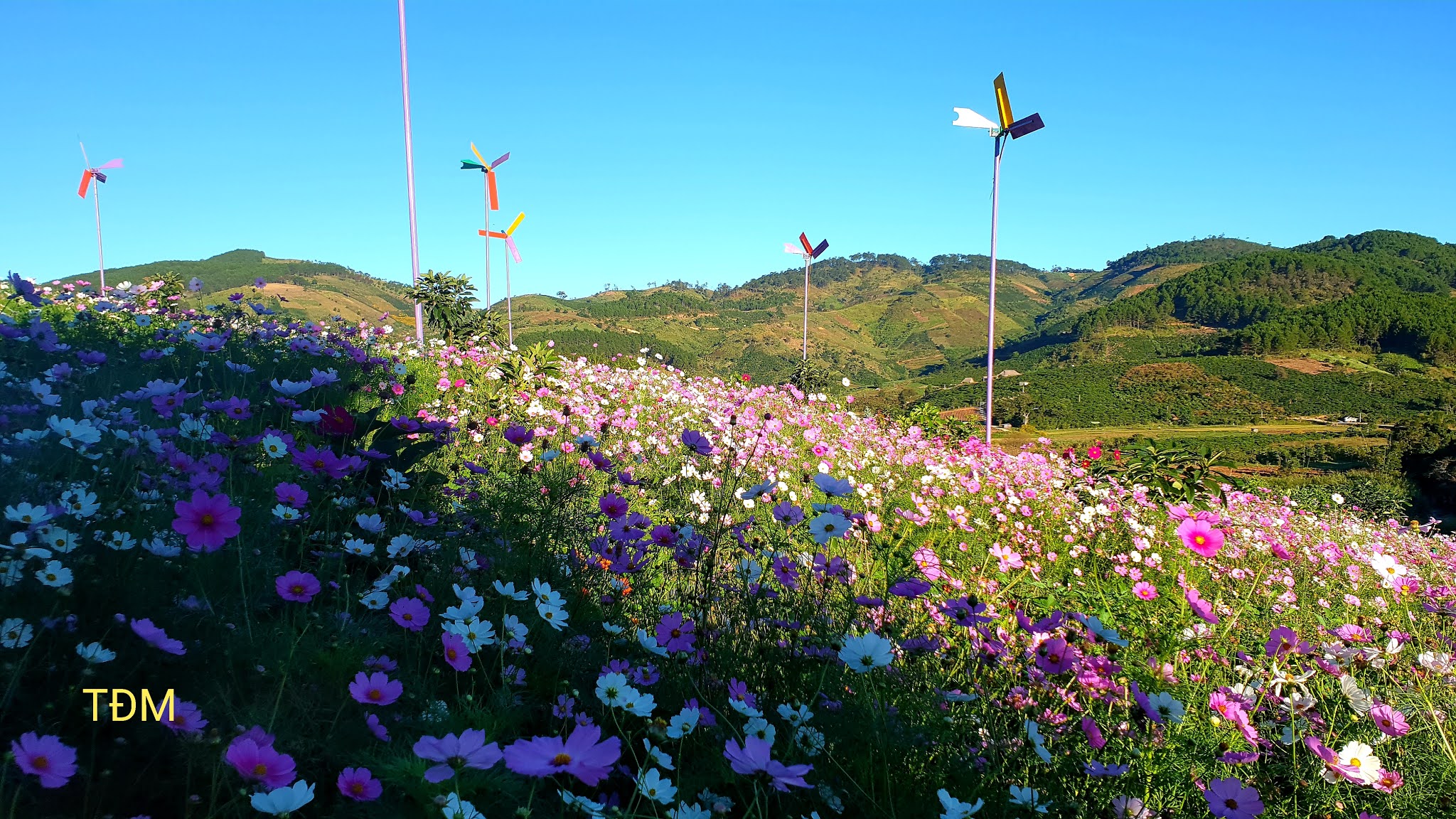 Thung lũng hoa Tà Nung