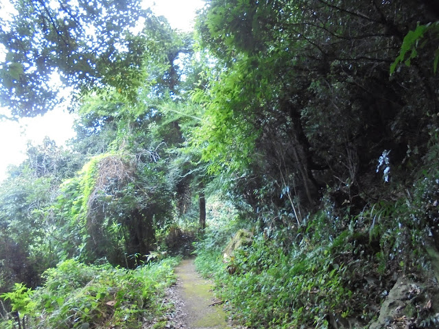 もう一度同じ横手道