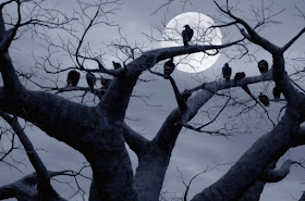 Resultado de imagen para cuervo bruja