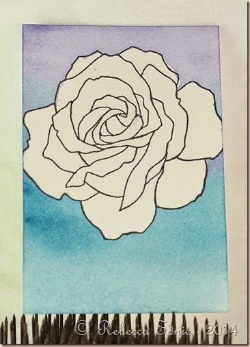 rose colourwash bg