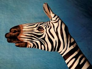 Hand Painting zebra, Hand Painting