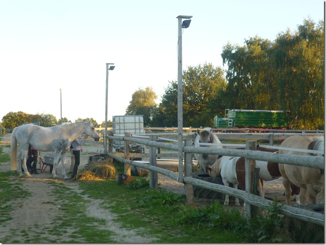 P1080281