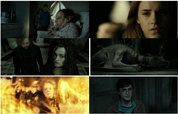 MF - Harry Potter and the Deathly Hallows Part 2 2011 BluRay 720p DTS x264-CHD