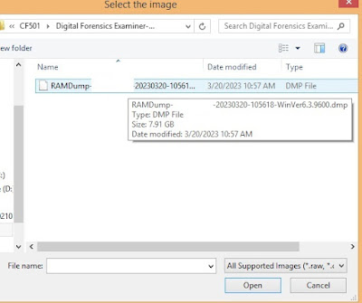 DIGITAL FORENSICS:Magnet RESPONSE Free Tools