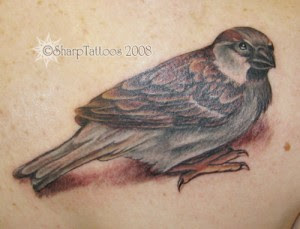 sparrow tattoos