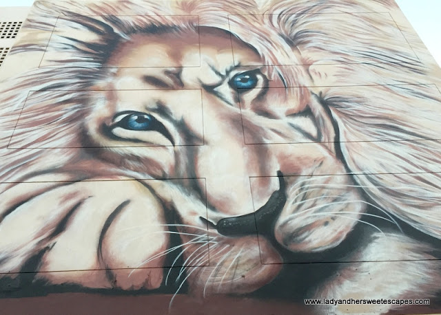 Lion mural in Karama Dubai