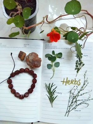 naturopathy