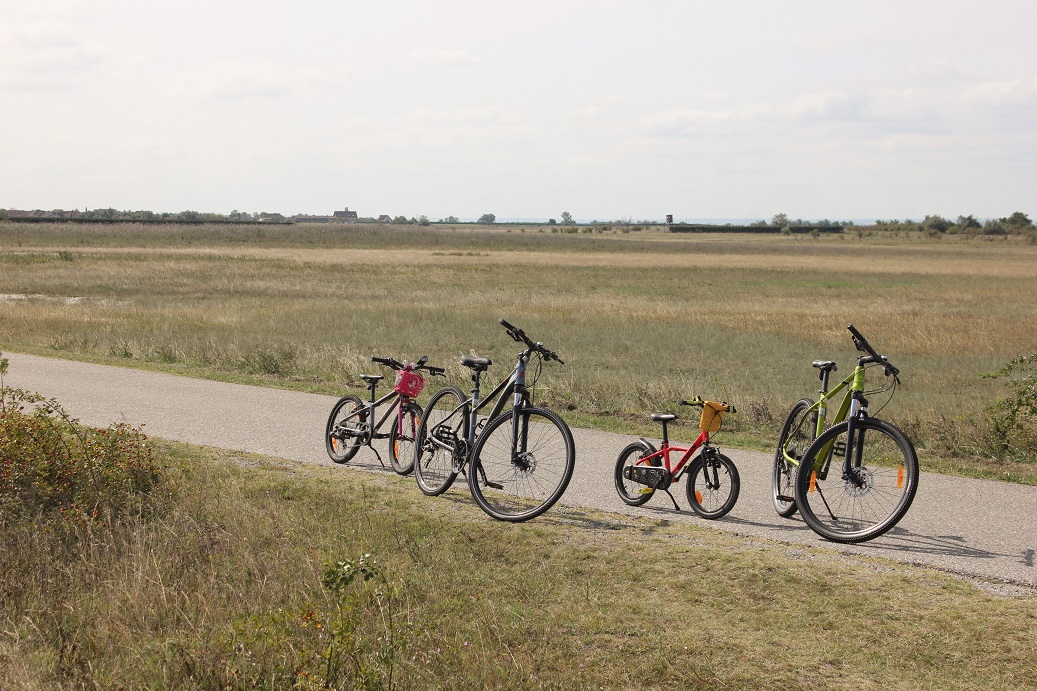 naše kola na cyklostezce u Neziderského jezera