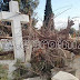 Αμαλιάδα - Κουρούτα: Δέντρα έσπασαν τάφους, «καλοκαιρινό»… το Δημοτικό Κάμπινγκ!
