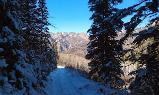 Mineral Fork Trail