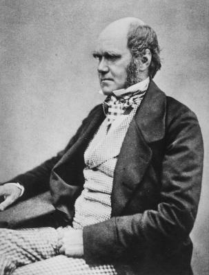 Charles Darwin (1809-1882)