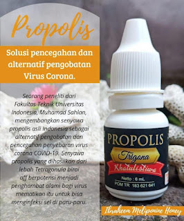 Propolis Trigona Khatulistiwa | Harga, Manfaat dan Cara Pemesanan