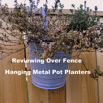 Related Review Image