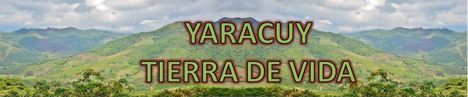 logoqlq