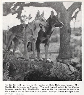 Rin-Tin-Tin Nanette