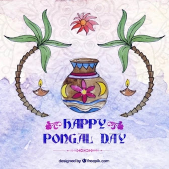 50 happy pongal greeting