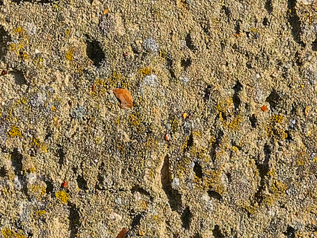 Stone sandstone wall texture