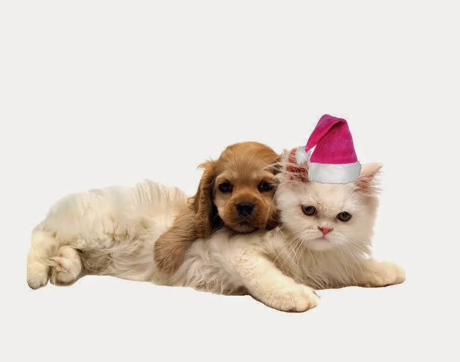 Dogs and Cats in Christmas Free Printable Image. 