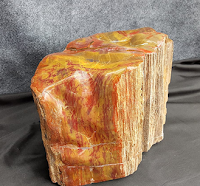 Pengertian Fosil Kayu atau Petrified wood