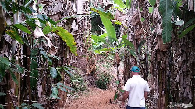 Sítio Arqueológico Pedra Pintada, Barão de Cocais, Cocais, Estrada Real, Caminho dos Diamantes, MG, Pintura Rupestre